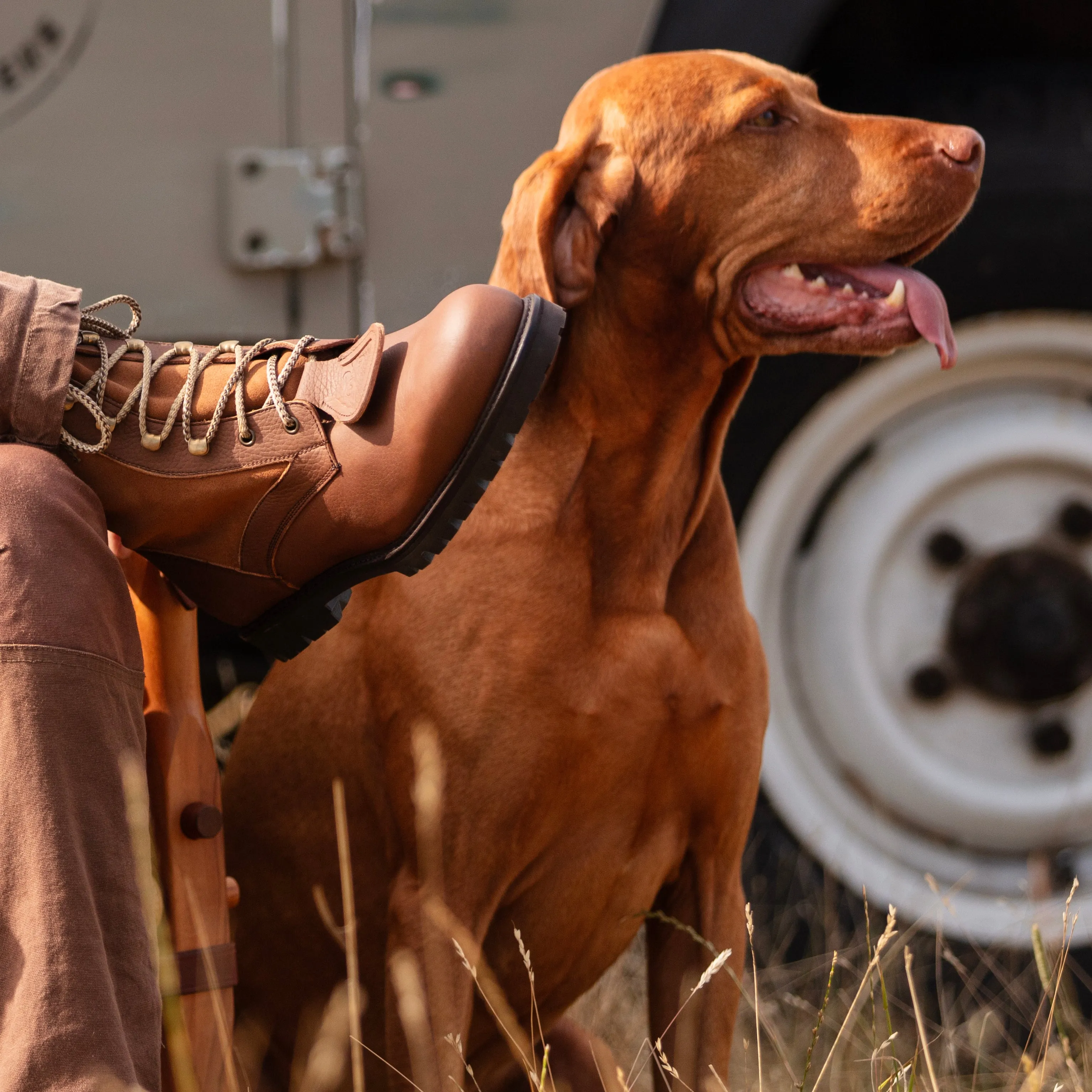 Safari, Hiking and Trekking boot - Men's Harrier.